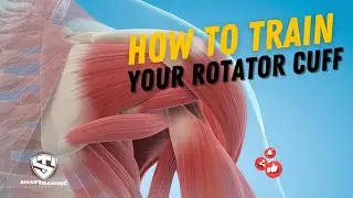 How to Train Your Rotator Cuff #fitness #biomechanics