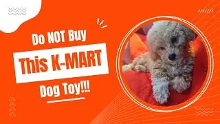 Do NOT Buy this K-MART Dog Toy | Pet Product Review | Dog Toy Vlog | 