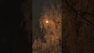 Allme - Успех