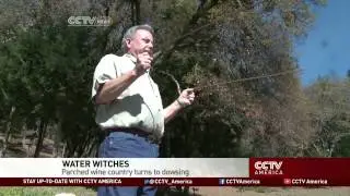 Mysterious Craft Helps Vineyard Owners in California