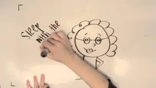 Carpe Diem - Digital Narrative