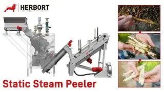 Herbort Static Steam Peeler - Salsify Processing Line