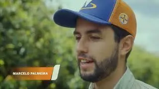 Raízes de confiança com Verango® Prime - Fazenda Palmeira