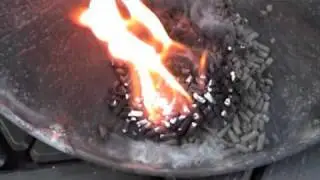 🔴 Biomass pellet chicken waste fuel for burning providing a sustainable and renewable energy source.