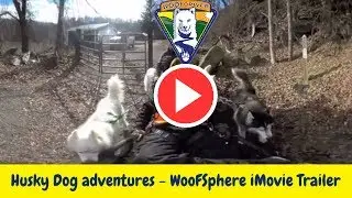 Husky Dog adventures - WooFSphere iMovie Trailer
