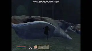 The Elder Scrolls IV: Oblivion улитки 