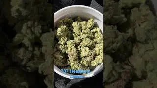 707 Headband- Cresco