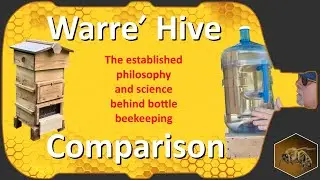 Bottle-to-Bottle Honey Production | Warre' Honey Bee Hive Comparison