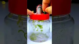 Chili cutter machine. #shorts #cutter machine #diy.