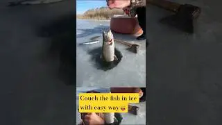 Trout Jumped Out Of Ice Hole Like Crazy! 😲 #IceFishing #WinterFishing #TroutFishing #IceFishing2026