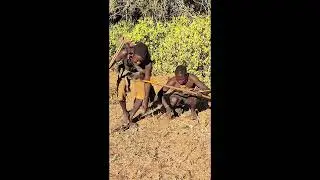 They Moved Slowly After Hearing Cattle Sounds | Bush Awareness Moment