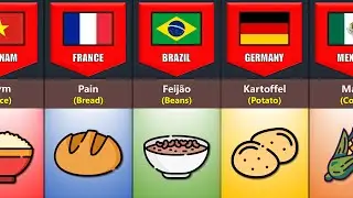 Staple Food From Different Countries | Comparison Results