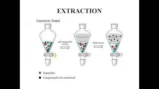 Extraction