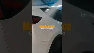 Service Maintenance Ceramic Coating after 6 months #87garage #carpro #ceramiccoating #cquartz