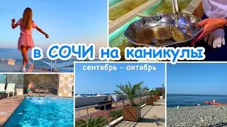 Классные осенние каникулы в Сочи 2020|Адлер| Отель АРФА| Морские ежи| Устрицы |ресторан Магеллан