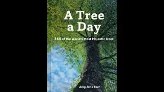 A Tree a Day by Amy-Jane Beer