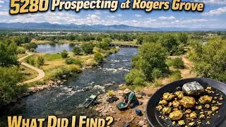 I Took My Pan to Rogers Grove… You Won’t Believe What I Found | 5280 Prospecting