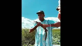 [free] tyler, the creator type beat - 