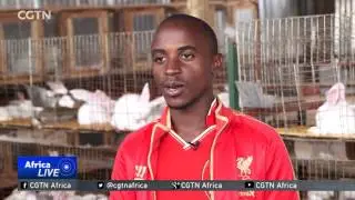 Ugandan farmers cash in on rabbit farming