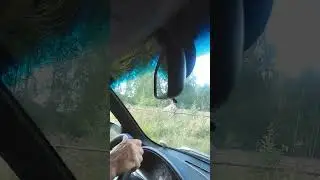 Камень #видео #каменьдлямолитвы #местсилы
