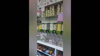 sugar kingdom candy store overview