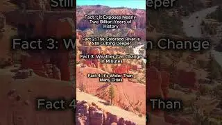 &ldquo;5 Mind-Blowing Facts About the Grand Canyon!&rdquo; 🏜️  #GrandCanyon #MindBlowingFacts #NatureWonders