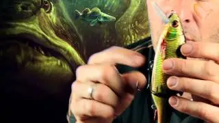 Savage Gear ** 3D ROACH LIPSTER **