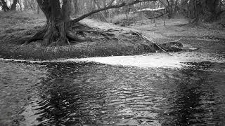 Into the Poudre River