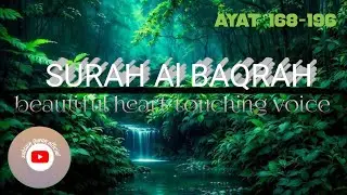 🌙 Surah Al-Baqarah | Complete Tilawat with Peaceful Voice 🤍
