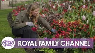 How are the Royal Parks preparing for the Coronation?