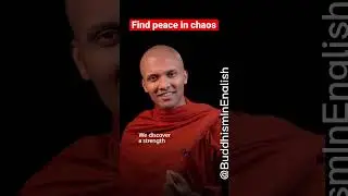 Try to find peace in chaos! 😩