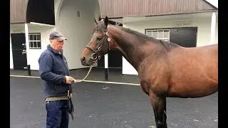 Time Test & Gregorian