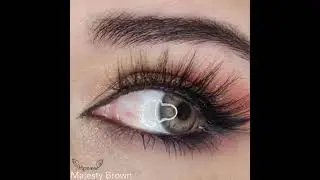 Renkli Lens - HYPNOSE MAJESTY BROWN / Optikzade