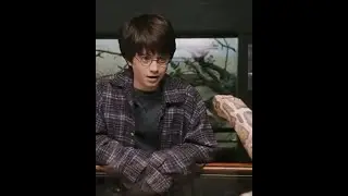 Harry Potter Magically Messes With His Cousin Dudley