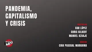 Pandemia, capitalismo y crisis (videoconferencia)