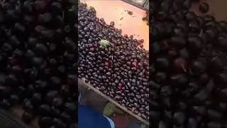 #ultimate#rambutan#fruit#1kg#200rs#short#trending#fruit