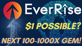 EverRise token | This Token will make you Millionaire in 2022