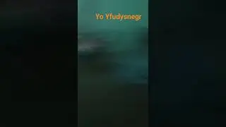 didhe