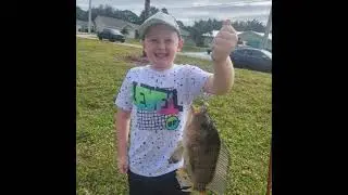 Aiden Live Stream