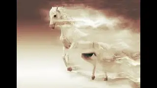 The Ancient Greek-Chinese War for the 'HEAVENLY HORSES!'