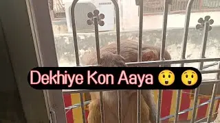 Aaj Dekhiye kon Aaya 😲 😲 Humare Kitchen Main ...#explore #youtube #subscribe 