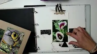 Album marbré