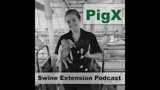 Episode 2: Colostrum Intake & Management with Dr. Kara Stewart