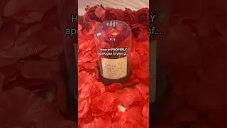 The only PROPER way to apologize to your girlfriend #couplegoals #rose #lovebricks #cute #flowers
