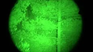 ATNVES - F&oacute;sforo Verde