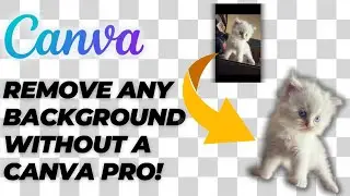 How to Remove Background in Canva Without Canva Pro (Canva Beginners Guide) - 2026