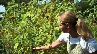 Making The Cut Pt. 2 Thefemalefarmer Madison Creek Farms.mp4