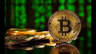 Bitcoin Private key finder software 2023