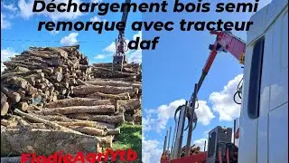 Unloading timber semi-trailer with 🚚 forestry crane DAF truck