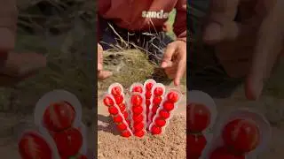 The guy show AMAZING Smart and Useful in Forest #bushcraft #survival #Outdoors #skills